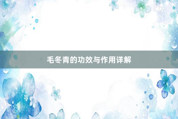 毛冬青的功效与作用详解